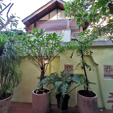Tavee Guesthouse